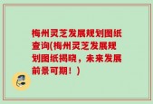 梅州灵芝发展规划图纸查询(梅州灵芝发展规划图纸揭晓，未来发展前景可期！)
