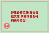 野生香菇灵芝(野生香菇灵芝 两种珍贵食材的美妙结合)