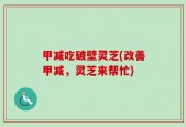 甲减吃破壁灵芝(改善甲减，灵芝来帮忙)