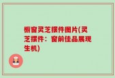 橱窗灵芝摆件图片(灵芝摆件：窗前佳品展现生机)