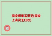 同安哪里采灵芝(同安上演灵芝狂欢)