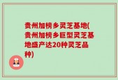 贵州加榜乡灵芝基地(贵州加榜乡巨型灵芝基地盛产达20种灵芝品种)