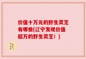 价值十万元的野生灵芝有哪些(辽宁发现价值超万的野生灵芝！)