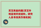 灵芝表面的圈(灵芝外观呈现环状结构，研究人员寻找其作用机制)