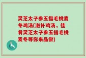 灵芝太子参五指毛桃麦冬鸡汤(滋补鸡汤，佳肴灵芝太子参五指毛桃麦冬等你来品尝)