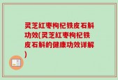 灵芝红枣枸杞铁皮石斛功效(灵芝红枣枸杞铁皮石斛的健康功效详解)