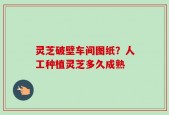 灵芝破壁车间图纸？人工种植灵芝多久成熟