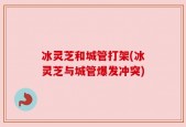 冰灵芝和城管打架(冰灵芝与城管爆发冲突)