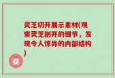 灵芝切开展示素材(观察灵芝剖开的细节，发现令人惊异的内部结构)