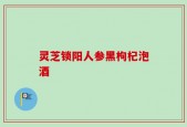 灵芝锁阳人参黑枸杞泡酒