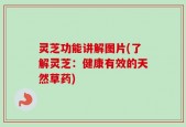灵芝功能讲解图片(了解灵芝：健康有效的天然草药)