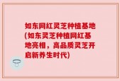 如东网红灵芝种植基地(如东灵芝种植网红基地亮相，高品质灵芝开启新养生时代)