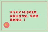 灵芝引火下行(灵芝发现能当引火柴，专家提醒别模仿！)