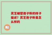 灵芝破壁孢子粉的样子描述？灵芝孢子粉是怎么样的