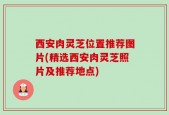 西安肉灵芝位置推荐图片(精选西安肉灵芝照片及推荐地点)
