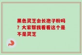 黑色灵芝会长孢子粉吗？大家帮我看看这个是不是灵芝