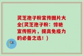 灵芝孢子粉宣传图片大全(灵芝孢子粉：惊艳宣传照片，提高免疫力的必备之选！)