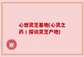 心想灵芝基地(心灵之药丨探访灵芝产地)
