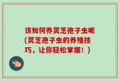 该如何养灵芝孢子虫呢(灵芝孢子虫的养殖技巧，让你轻松掌握！)