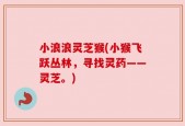 小浪浪灵芝猴(小猴飞跃丛林，寻找灵药——灵芝。)