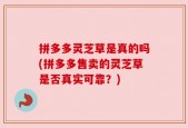 拼多多灵芝草是真的吗(拼多多售卖的灵芝草是否真实可靠？)