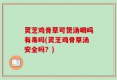 灵芝鸡骨草可煲汤喝吗有毒吗(灵芝鸡骨草汤安全吗？)