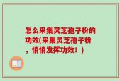 怎么采集灵芝孢子粉的功效(采集灵芝孢子粉，悄悄发挥功效！)