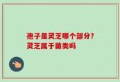 孢子是灵芝哪个部分？灵芝属于菌类吗
