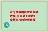 灵芝盆栽图片欣赏视频教程(学习灵芝盆栽：欣赏图片和视频教程)
