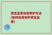 灵芝盆景日常养护方法(如何日常养护灵芝盆景)