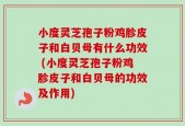 小度灵芝孢子粉鸡胗皮子和白贝母有什么功效 (小度灵芝孢子粉鸡胗皮子和白贝母的功效及作用)