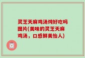 灵芝天麻鸡汤炖好吃吗图片(美味的灵芝天麻鸡汤，口感鲜美怡人)
