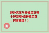 野外灵芝与种植灵芝哪个好(野外或种植灵芝，何者更佳？)