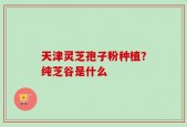 天津灵芝孢子粉种植？纯芝谷是什么