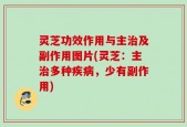 灵芝功效作用与主治及副作用图片(灵芝：主治多种疾病，少有副作用)