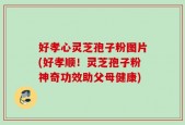 好孝心灵芝孢子粉图片(好孝顺！灵芝孢子粉神奇功效助父母健康)
