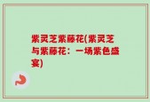 紫灵芝紫藤花(紫灵芝与紫藤花：一场紫色盛宴)
