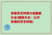 安徽灵芝种类介绍图解大全(图解大全：认识安徽的灵芝种类)