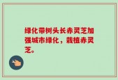 绿化带树头长赤灵芝加强城市绿化，栽植赤灵芝。