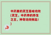 中药里的灵芝是啥功效(灵芝，中药界的养生之王，神奇功效频出！)