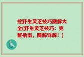 挖野生灵芝技巧图解大全(野生灵芝技巧：完整指南，图解详解！)