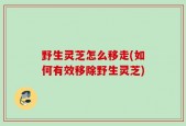 野生灵芝怎么移走(如何有效移除野生灵芝)