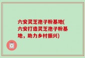 六安灵芝孢子粉基地(六安打造灵芝孢子粉基地，助力乡村振兴)