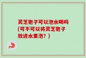 灵芝狍子可以泡水喝吗(可不可以将灵芝狍子放进水里泡？)