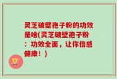灵芝破壁孢子粉的功效是啥(灵芝破壁孢子粉：功效全面，让你倍感健康！)