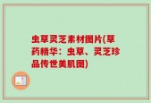 虫草灵芝素材图片(草药精华：虫草、灵芝珍品传世美肌图)