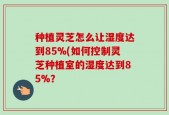 种植灵芝怎么让湿度达到85%(如何控制灵芝种植室的湿度达到85%？