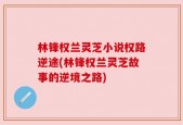 林锋权兰灵芝小说权路逆途(林锋权兰灵芝故事的逆境之路)