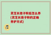 灵芝长孢子粉后怎么养(灵芝长孢子粉的正确养护方式)