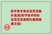陈平安手拿白玉灵芝图片高清(陈平安手持白玉灵芝高清照片展现健康之道)